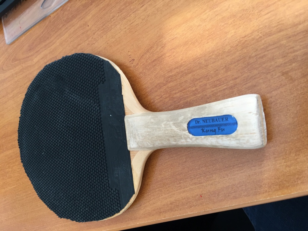 Bois Kung Fu + revetement Hardbat : 35€ Ttc10