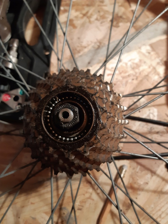 Roue libre et transformation single speed
