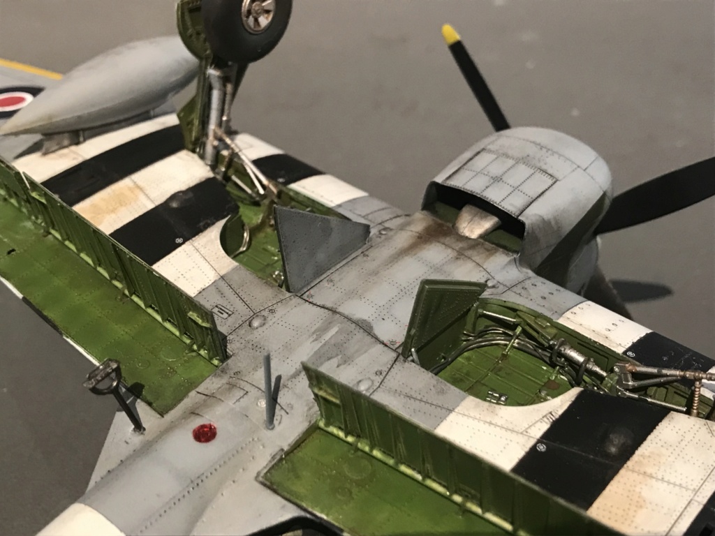 Eduard Hawker Tempest MkV 1/48ème Img_3319