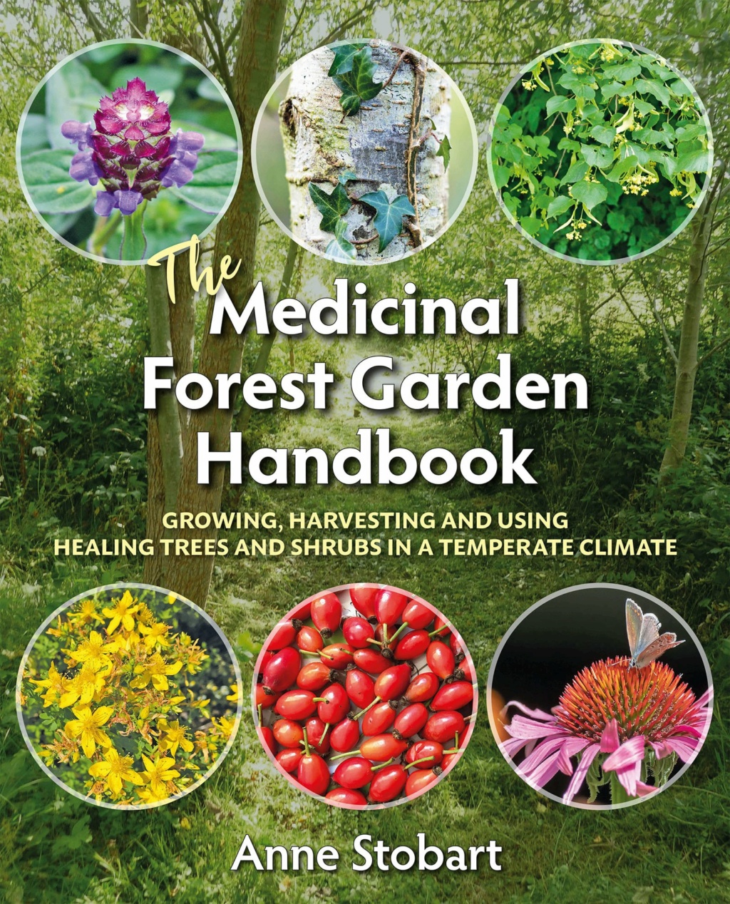 The Medicinal Forest Garden Handbook Aqczzf10