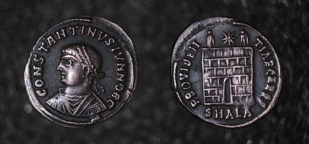 AE3 de Constantino II. PROVIDENTIAE CAESS. Puerta de campamento. Alexandría Consta10