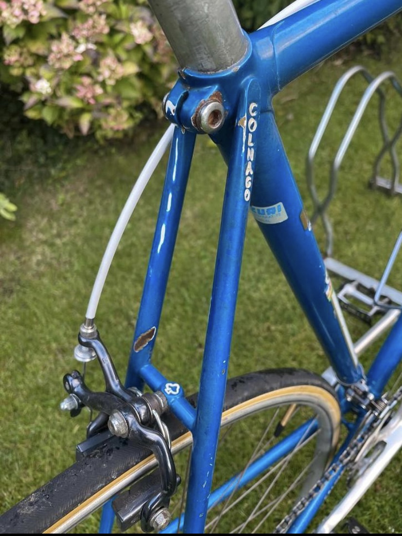 Colnago - Avis sur des vélos ou cadres Colnago pour événements de type Eroica. Fe960510