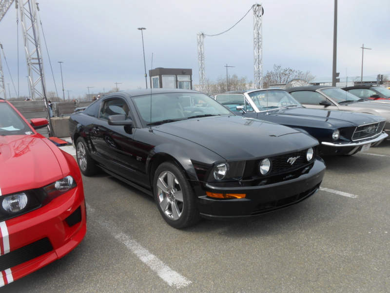 5 mai 2024, Record mondial Mustang dans un convoi, RECORD BATTU 1889 Mustang - Page 6 Musta104