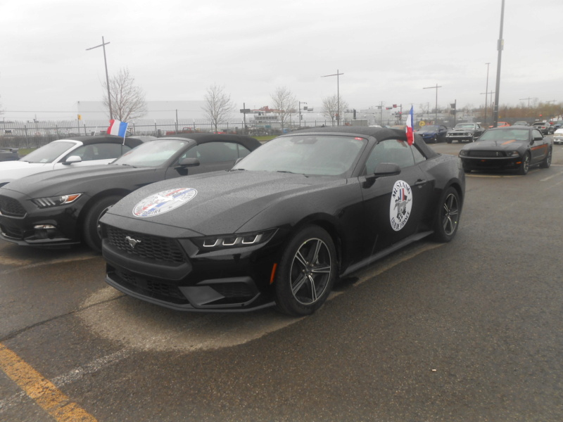 5 mai 2024, Record mondial Mustang dans un convoi, RECORD BATTU 1889 Mustang - Page 6 Musta128