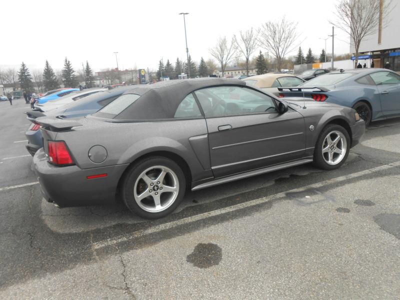 5 mai 2024, Record mondial Mustang dans un convoi, RECORD BATTU 1889 Mustang - Page 6 Musta129