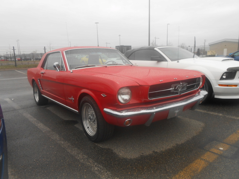 5 mai 2024, Record mondial Mustang dans un convoi, RECORD BATTU 1889 Mustang - Page 6 Musta149