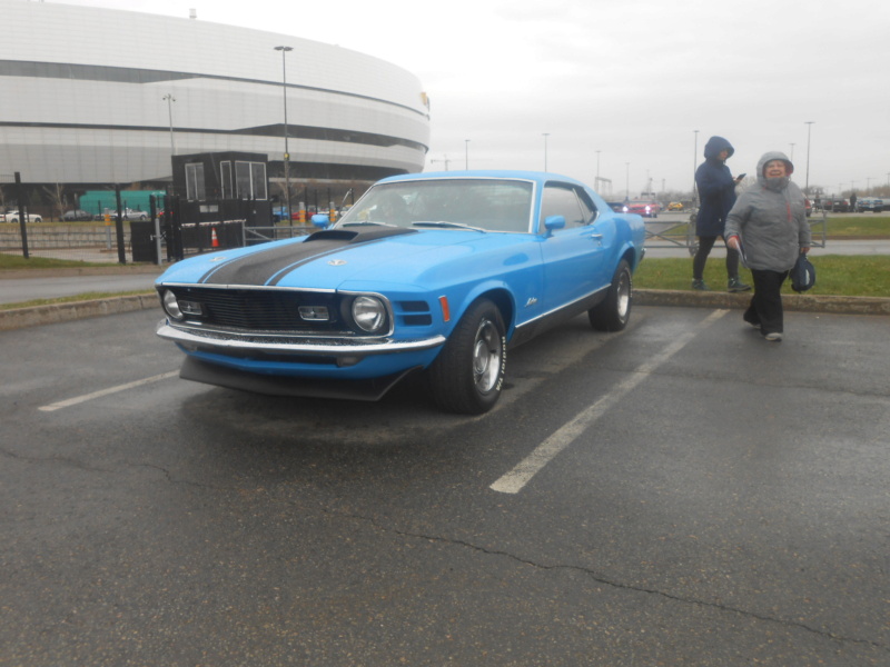 5 mai 2024, Record mondial Mustang dans un convoi, RECORD BATTU 1889 Mustang - Page 6 Musta150