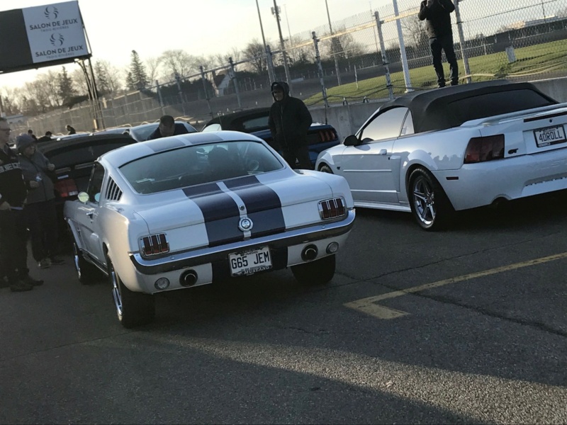 5 mai 2024, Record mondial Mustang dans un convoi, RECORD BATTU 1889 Mustang - Page 6 Mustan42