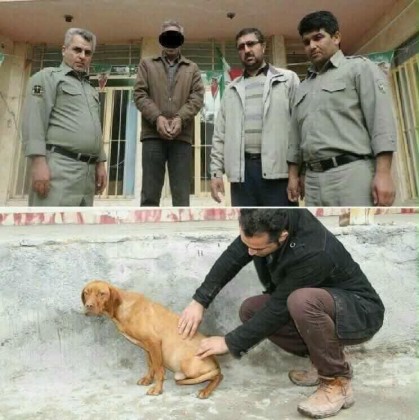 Les Iraniens se mobilisent contre la torture animale 12472510