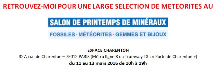 Salon international de Minéralogie Paris  11 au 13 mars 2016 Salon10