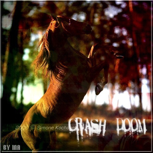Crash Doom Crash_11