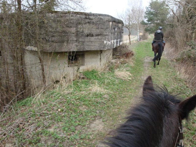 Roxane en rando de printemps Dauben17