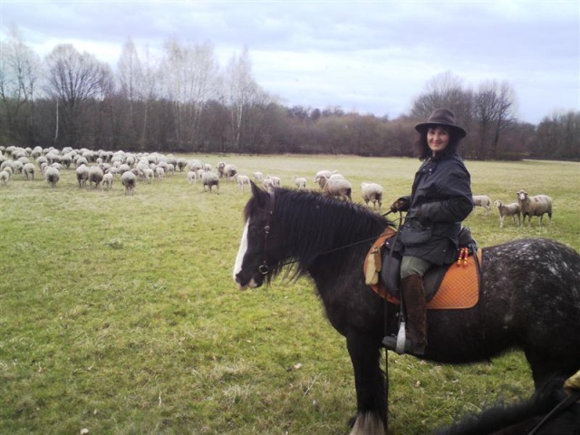 Quand Roxane rencontre des moutons ..... Dsc00514