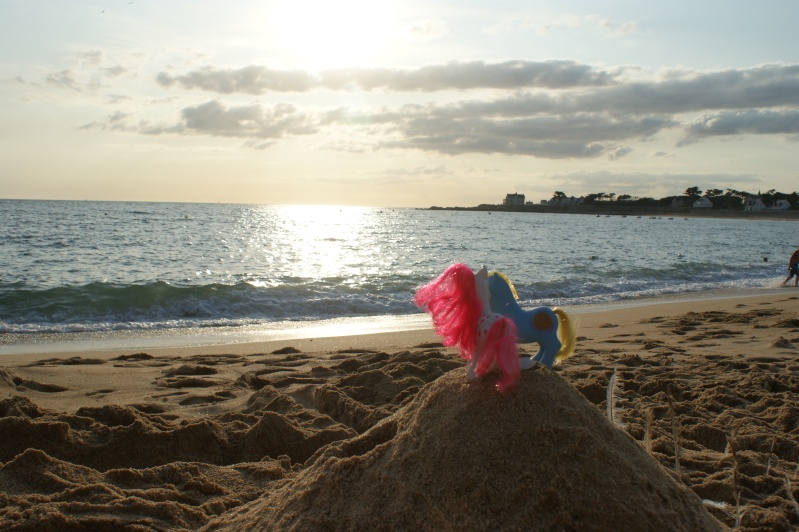 vacances a la plage (nouvelles photos en bas de page de 2 amoureux) Dsc06514