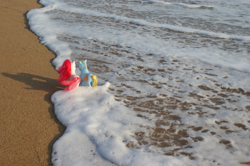 vacances a la plage (nouvelles photos en bas de page de 2 amoureux) Dsc06518