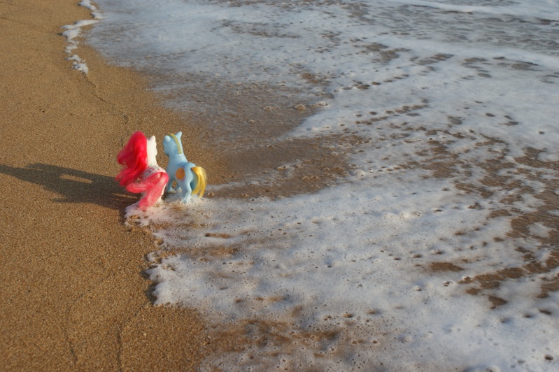 vacances a la plage (nouvelles photos en bas de page de 2 amoureux) Dsc06520