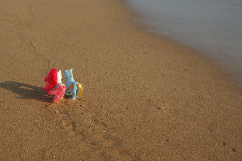 vacances a la plage (nouvelles photos en bas de page de 2 amoureux) Dsc06522