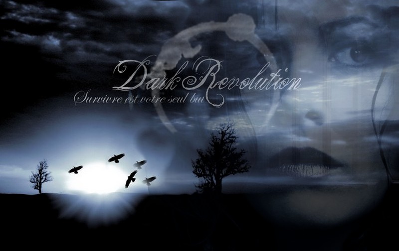 Dark-Revolution