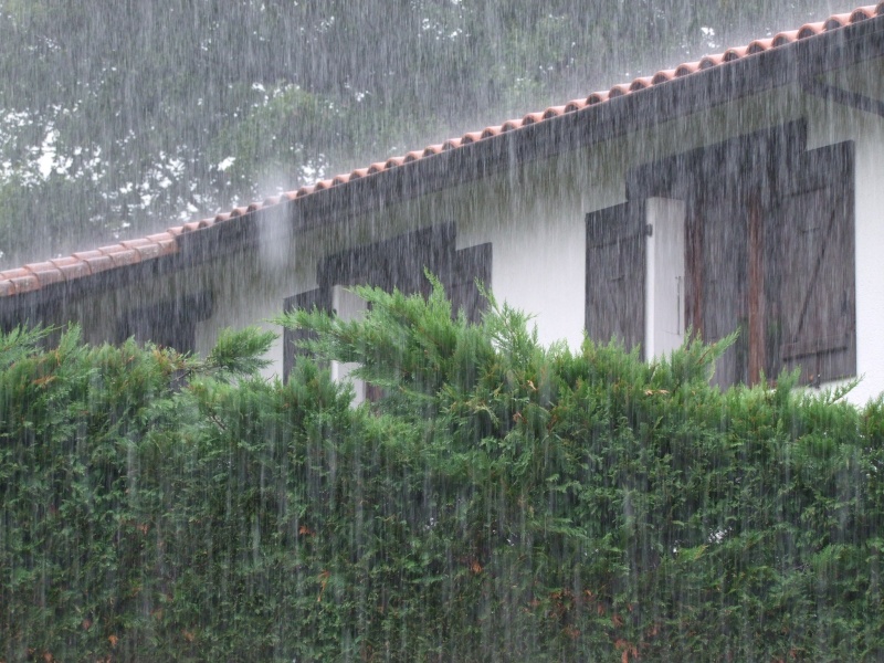 A DRACHE EN TERRE BASQUE Daluge24