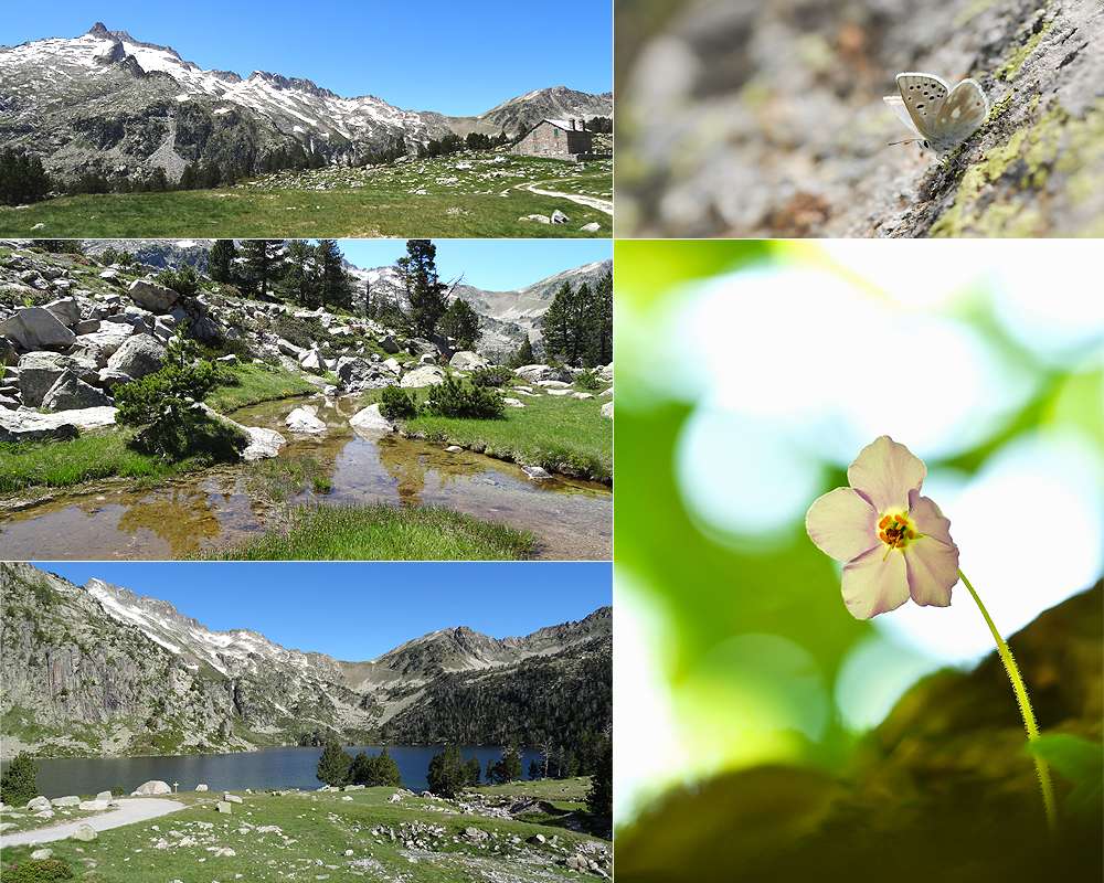 semaine dans les Hautes-Pyrénées - 2015 310