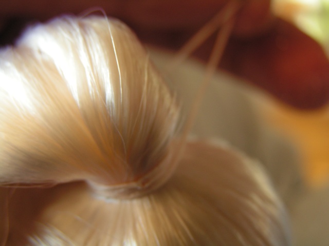Faire un swirl ponytail Pict8824