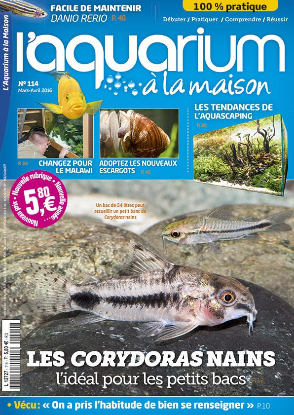 [Magazine] Aquarium à la maison 01_alm11
