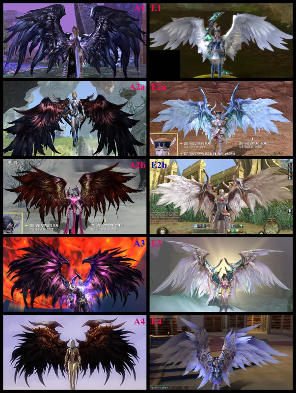 Les ailes du jeu et leur usage Aionwi10