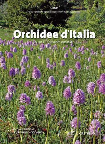 Bientot un nouveau livre sur les orchidées d'Italie Cover_10