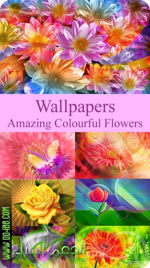 مجموعة جديدة من صور الزهور الملونة بشكل رائع 40-ama10