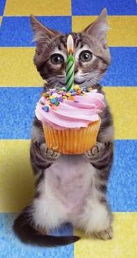 Bon Anniversaire Popo Bon Anniversaire Popo