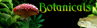 Botanicals