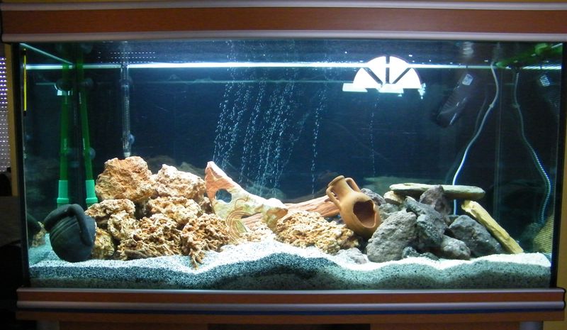 mon aquarium de 300l 210