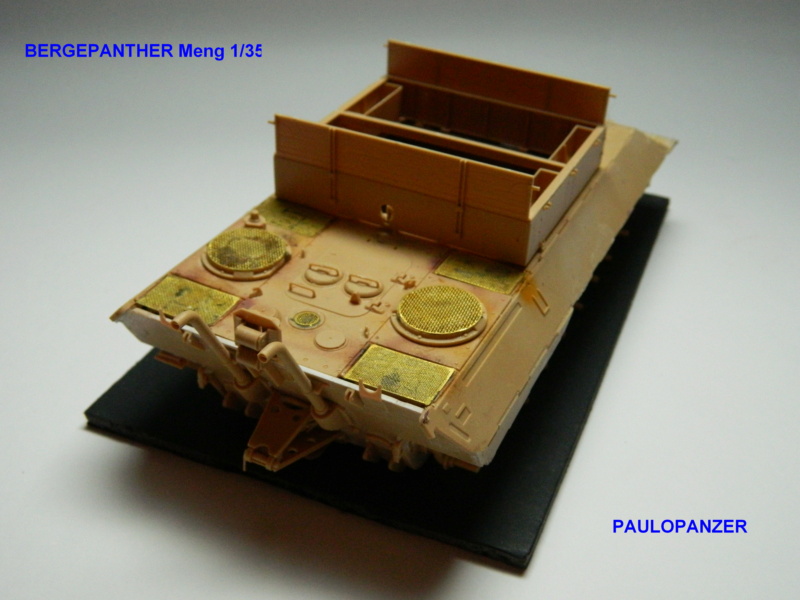 (PAULO) Bergepanther Meng 1/35 (Projet terminé) Dscn6642