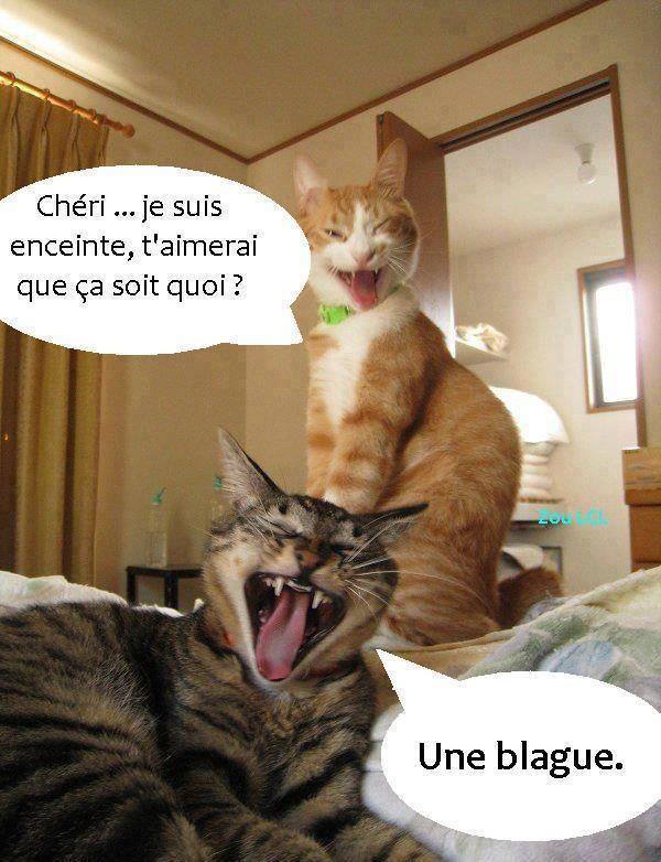 humour - Page 22 10256210