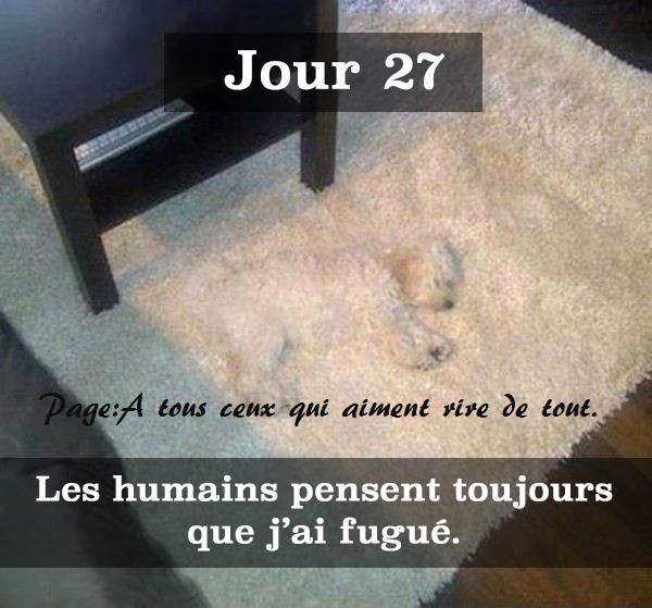 humour - Page 35 10599110