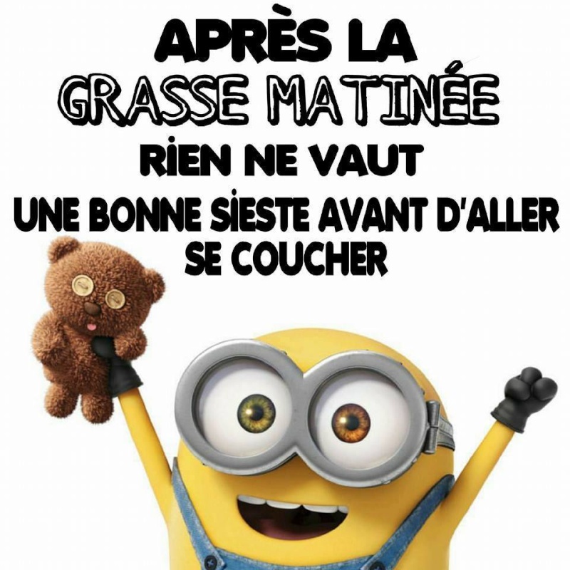 humour - Page 21 12742110