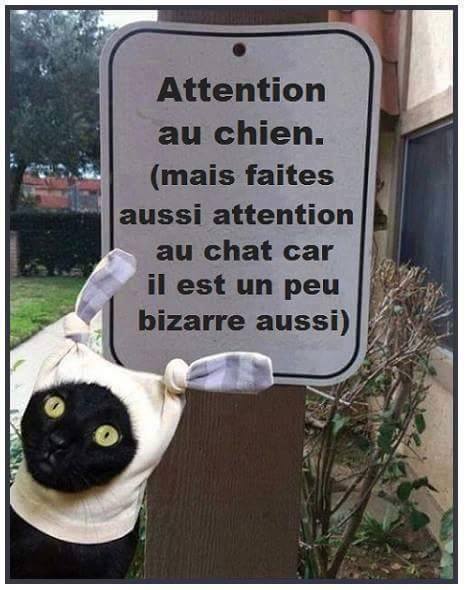 humour - Page 26 12799212