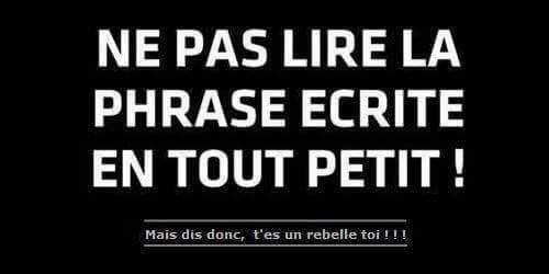 humour - Page 32 12802910