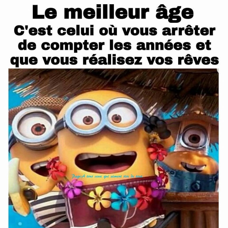 humour - Page 35 17964710