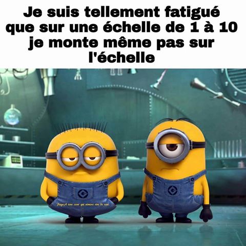 humour - Page 35 19352110