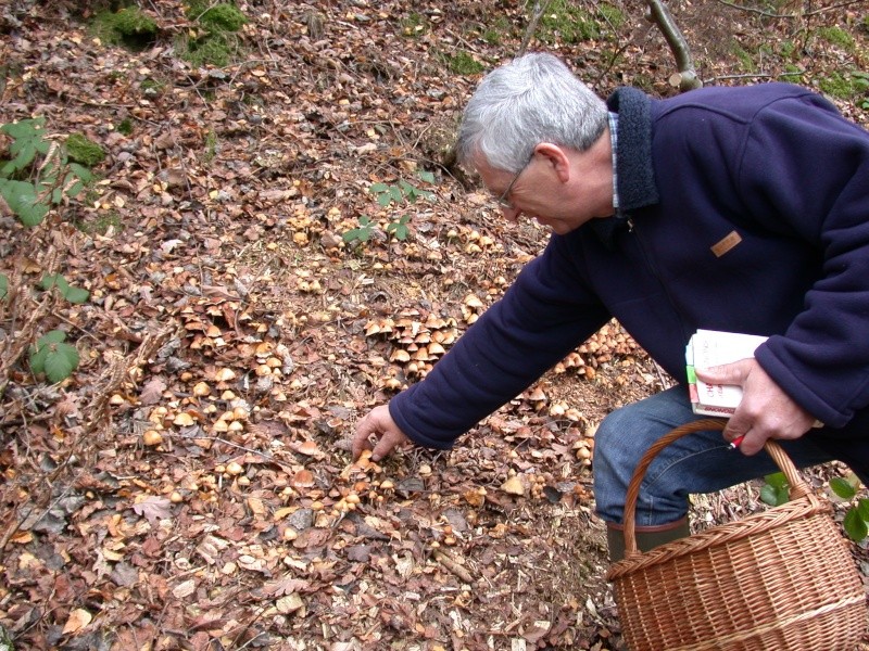 Sortie Mycologique au Barrage du Ry de Rome à Petigny Lamber10