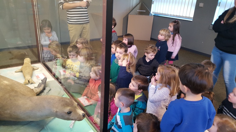 visite au muse d histoire naturelle de mons "  la dcouverte des animaux du cirque" 20160226