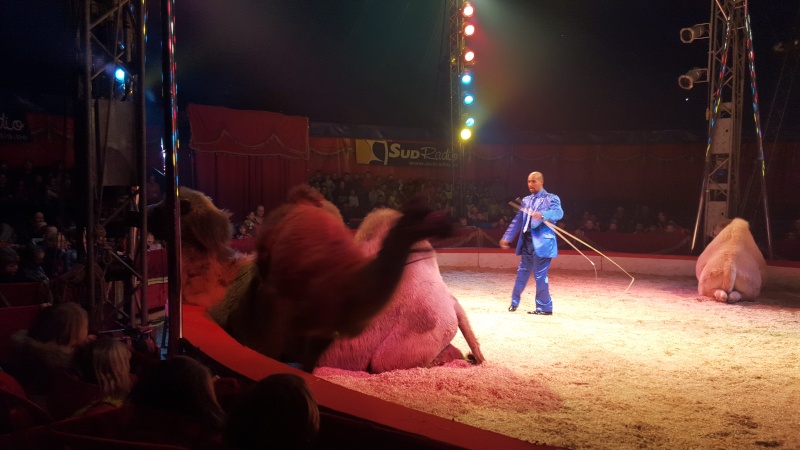 Spectacle Cirque Bouglionne 20160336