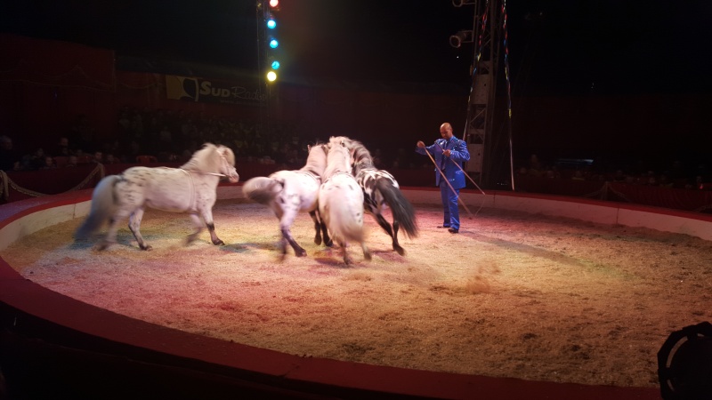 Spectacle Cirque Bouglionne 20160338