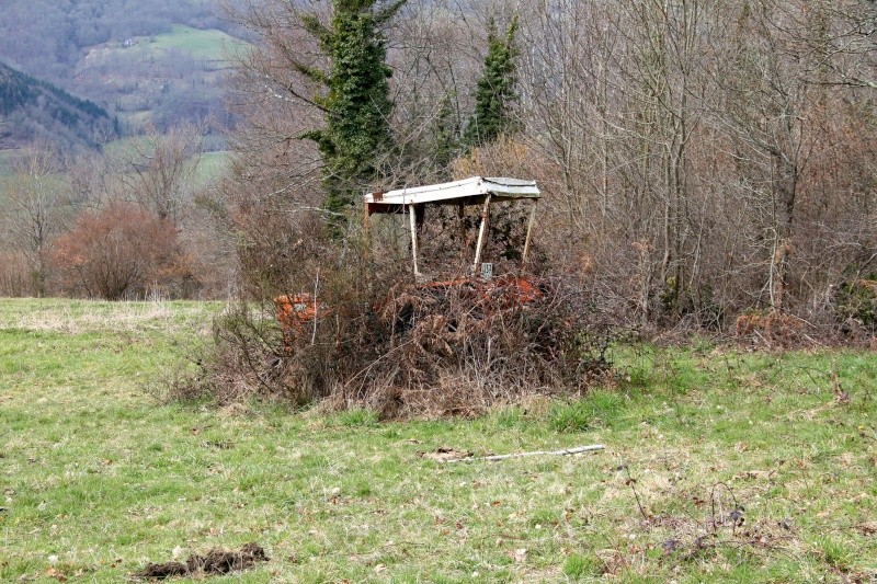 Dans les ronces... Img_5010