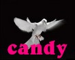Anniversaire de Candy Logo_c13