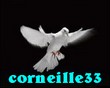 Anniversaire de Corneille33 Logo_c14