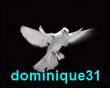 Anniversaire de dominique31 Logo_d11