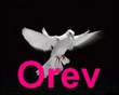 Anniversaire de Orev Logo_o12