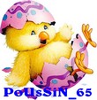 Anniversaire de PoUsSiN_65 Logo_p13